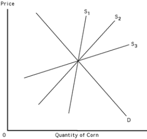 Exhibit 39-5   -Refer to Exhibit 39-5.Low price elasticity of demand for corn coupled with unpredictable weather makes both price and total revenue in the market for corn extremely volatile.Which of the supply curves would result in the least volatility? A) S<sub>1</sub>. B) S<sub>2</sub>. C) S<sub>3</sub>. D) The changes are not dependent upon elasticity of supply.