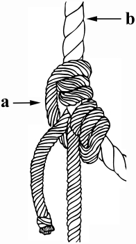 In the diagram identify which part is the lifeline and which is the lanyard:  