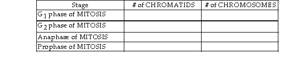 For the question below, suppose that the somatic cells of humanoid X contain a total of 4 chromosomes [2N = 4] (or 2 pairs of chromosomes, [N = 2]). How many chromatids and chromosomes are present at the following stages of mitosis? Answers should be filled in for the blank spaces in the table below.   