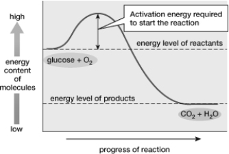 This figure shows the metabolism of glucose and oxygen to CO<sub>2</sub> and H<sub>2</sub>O. From what molecule do the carbon in CO<sub>2</sub> and the hydrogen in H<sub>2</sub>O come from?   A)  Glucose B)  O<sub>2</sub> C)  The catalyst D)  The product