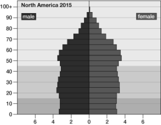 The population shown in the pyramid is   A)  going through a boom-and-bust cycle. B)  stable, or slowly growing. C)  decreasing. D)  expanding. E)  showing continuous exponential growth.