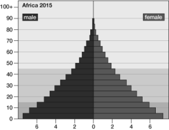 Based on its population pyramid, this population   A)  has reached its carrying capacity. B)  is showing negative growth. C)  is in a boom-and-bust cycle. D)  is remaining the same. E)  is expanding, or rapidly growing.