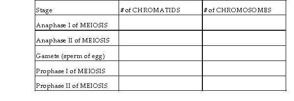 For the question below, suppose that the somatic cells of humanoid X contain a total of 4 chromosomes [2N = 4] (or 2 pairs of chromosomes, [N = 2]). How many chromatids and chromosomes are present at the following stages of MEIOSIS? Answers should be filled in for the blank spaces in the table below.   