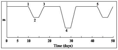   -At what point in the eclipsing binary light curve below is the cooler star in front of the hotter star? A) 1 B) 2 C) 3 D) 4