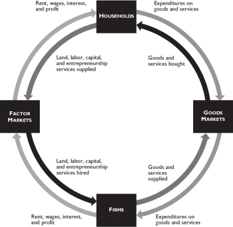 2.5 Chapter Figures     The figure above shows the circular flow model. -In the figure above, which of the following transactions take place in the factor markets? I.Michael, a student, orders a computer from Dell online. Ii.Peter gets a job at a Wal-Mart store. Iii.Apple Computer opens a new store in Georgia A)  ii and iii B)  Only i C)  Only ii D)  Only iii E)  i and ii