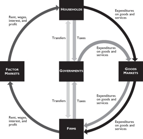    The figure above shows governments in the circular flow. -In the figure above, which of the following is true? I.Governments coordinate economic activities of households and firms. Ii.Governments buy goods and services in goods markets. Iii.Households pay taxes directly to firms. A)  Only ii B)  Only i C)  Only iii D)  i and ii E)  ii and iii