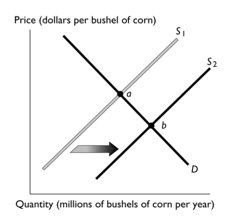   -The above figure illustrates the market for corn.If point  a  represents the original equilibrium and point  b  the new equilibrium,which of the following could have caused the change? A)  a decrease in the number of corn growers B)  a decrease the price of wheat, a substitute in production for corn C)  an increase in the cost of the seed used to grow the corn D)  an decrease in buyers' incomes if corn is an inferior good E)  an increased belief among buyers that corn is healthy 