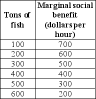   -The table above shows the marginal social benefit of fishing in Mediterranean Sea.The marginal private cost of operating a fishing boat is the same for all producers ,$300 per hour.The marginal social cost is twice the marginal private cost.With no government intervention,the market is A)  catching the efficient quantity of of fish. B)  underproducing by 100 tons of fish. C)  underproducing by 300 tons of fish. D)  overproducing by 300 tons of fish. E)  overproducing by 200 tons of fish. 