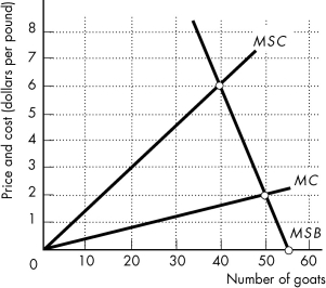   -The above figure shows the marginal private cost curve,marginal social cost curve,and marginal social benefit curve for raising goats on a common pasture.If property rights to the pasture are granted to a farmer so that the farmer owns the pasture,the farmer raises ________. A)  0 goats B)  40 goats C)  50 goats D)  55 goats E)  None of the above answers is correct. 