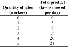   -The above table has the total product schedule for Jesse's Lawn Service. a.In the figure,label the axes and then graph the total product curve.     b.Find the average product for the different amounts of employment.