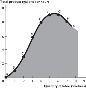   The figure above shows a firm's total product curve. -Which of the points show efficient production points? A) all points above the TP curve B) all points on the TP curve C) all the darkened points below the TP curve D) all the points above and on the TP curve E) all the darkened points below and on the TP curve