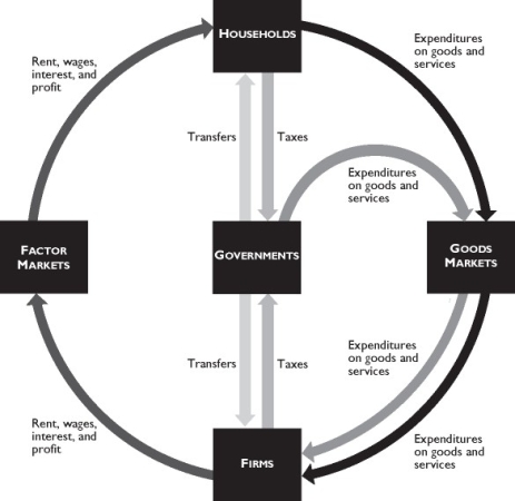   The figure above shows governments in the circular flow. -In the figure above,which of the following is true? I.Governments coordinate economic activities of households and firms. Ii.Governments buy goods and services in goods markets. Iii.Households pay taxes directly to firms. A) only ii B) only i C) only iii D) i and ii E) ii and iii