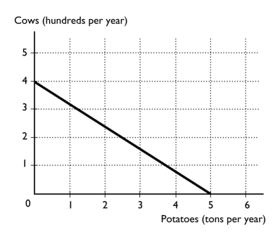   -Gabriel operates a ranch in Idaho where he raises cattle and grows potatoes.The figure above illustrates his production possibilities frontier.What is Gabriel's opportunity cost of raising another 100 cows? A)  1.25 tons of potatoes B)  5.0 tons of potatoes C)  3.0 tons of potatoes D)  1.0 ton of potatoes E)  100 cows