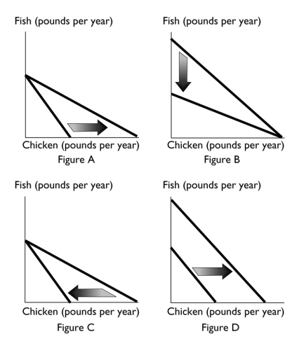   -Which of the above figures reflects an increase in the consumer's budget? A)  Figure A B)  Figure B C)  Figure C D)  Figure D E)  Both Figure A and Figure D
