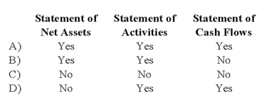 Government-wide financial statements prepared for a municipality include the following:   A)  Option A B)  Option B C)  Option C D)  Option D