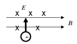 What is the direction of the net force on the moving charge in figure shown?   A) into the page B) right C) out of the page D) left 