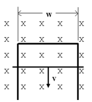  Two conducting rails of negligible resistance terminate in a resistor of resistance R = 2.40  \varOmega  The rails are placed in a magnetic field B = 15.0 mT perpendicular to the plane of the rails.The magnetic field is uniform and time independent.The distance between the rails is w = 10.0 cm as shown in the figure.A conducting rod of negligible resistance slides frictionless on top of the two rails at a velocity v = 1.20 m/s + (3.4 m/s<sup>2</sup>) t,where t is the time,in seconds.The induced current in the circuit at t = 1.00 s is   A) 2.88 mA. B) 1.81 mA. C) 1.28 mA. D) 0.978 mA. E) 0.836 mA.  