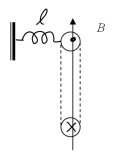 The figure shown depicts the cross section of a current carrying ring of wire having a radius of 4 cm.A 1-A current flows in the ring in the direction indicated in the drawing.The ring is free to rotate,clockwise or counterclockwise,about an axis normal to the page which passes through its center.The ring is connected to a spring with a spring constant of 100 N/m as shown.The spring is fixed to a wall at the other end.When the ring is in the vertical position,the spring is at its natural length.One may assume that the length of the spring is long enough such that any extension or compression follows Hooke's law.Determine the magnitude of the change in length of the spring when a magnetic field B = 2 T is applied along the vertical axis.   A) 1.25 mm B) 5.0 mm C) 2.5 mm D) 6.26 mm 