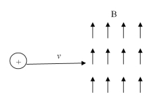A positive charge enters a region of uniform magnetic field as shown in the figure.The initial direction of deflection of the charge is A) into the page. B) out of the page. C) no change in direction and magnitude of the velocity. D) no change in velocity but it would slow down.