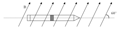 Thirty turns of wire are tightly wrapped into a coil around a round pencil that has a diameter of 6.0 mm.The pencil is then placed into a uniform B = 8.0 T magnetic field as shown in the figure.If a 4.0-A current is present in the coil of wire,what is the magnitude of the torque on the pencil? A) 4.6 * 10<sup>-2</sup> Nm B) 7.8 * 10<sup>-2</sup> Nm C) 1.4 * 10<sup>-2</sup> Nm D) 2.4 * 10<sup>-2</sup> Nm E) 18 Nm