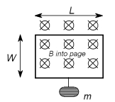 Consider a loop of length L = 3 m and width W = 1.5 m placed in an area where there is a magnetic field,B = 1.2 * 10<sup>-2</sup> T,pointing into the page as shown.If a mass m = 10 g hangs from the loop as shown,what current (magnitude) must run through the loop to balance its weight?   A) 2.725 A B) 3.075 A C) 1.525 A D) 0.565 A E) 0.013 A 