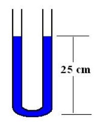 <strong>Water fills a length of 25 cm of a U tube.Water is slightly displaced and allowed to move freely inside the tube. Assuming the amount of water in the curved section of the U-tube is negligible,what is the period of its motion?</strong> A)1.00 s. B)1.41 s. C)1.59 s. D)4.12 s. E)0.71 s.
