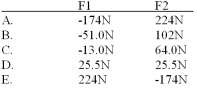 <strong>A diving board is 2.20 m long,has a mass of 5.20 kg and has a uniform density.There are supports holding it in place at one end (F1)and another 25.0 cm from the same end (F2).Find the support each of the support provides.Take upward forces to be positive. </strong> A)Option A B)Option B C)Option C D)Option D E)Option E