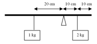 <strong>Two weights are hanging on a 60-cm long,100-g mass uniform wooden bar as shown in the figure.Is this system in equilibrium? </strong> A)Yes B)No C)It cannot be determined. D)It depends on value of normal force.
