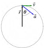  The figure represents the velocity and the acceleration of a particle moving clockwise in a circle of radius 25.0 cm.At a certain instant of time,the magnitude of its acceleration,a =   is 16.0 m/s<sup>2</sup> and it makes an angle  \theta  = 20<sup> \circ </sup> with position vector as shown in the figure.At this instant,find the speed,v =   of the particle.   A) 4.01 m/s B) 3.29 m/s C) 2.12 m/s D) 1.94 m/s E) 0.235 m/s  