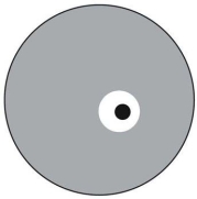 <strong>  This figure represents a Petri plate. The gray area is where bacteria A is growing. The black area is where bacteria B is growing. The white area is a zone where neither organism is growing. What is the best interpretation of what is observed on the plate?</strong> A) Bacteria A grows faster than bacteria B. B) Bacteria B is producing an antibiotic that inhibits the growth of bacteria A. C) Bacteria A produces a compound that inhibits the growth of bacteria B. D) Bacterial colony B has depleted the nutrients in the area around the colony. E) No conclusion can be made from this information. <div style=padding-top: 35px> 
