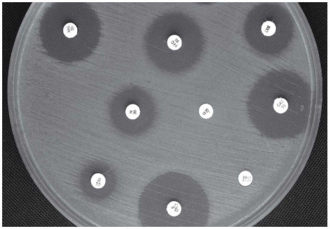   Examine the diffusion susceptibility plate results shown in this figure. Propose an explanation for the appearance of the zone around the S/10 disk, and discuss the implications for therapeutic use of this antibiotic for the pathogen tested.<div style=padding-top: 35px> 