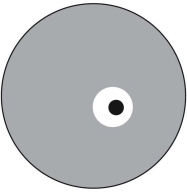   This figure represents a Petri plate. The gray area is where bacteria A is growing, the black area is where bacteria B is growing. The white area is a zone where neither organism is growing. What is the best interpretation of what is observed on the plate? A)  Bacteria A produces a compound that inhibits the growth of bacteria B. B)  Bacterial colony B has depleted the nutrients in the area around the colony. C)  Bacteria A grows faster than bacteria B. D)  Bacteria B is producing an antibiotic that inhibits the growth of bacteria A. E)  No conclusion can be made from this information.