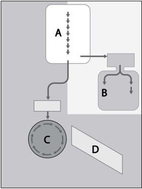    Identify the processes of glucose metabolism represented in Figure 5.1.  A) A = electron transport chain, B = Krebs cycle, C = glycolysis, D = fermentation B) A = glycolysis, B = fermentation, C = Krebs cycle, D = electron transport chain C) A = fermentation, B = glycolysis, C = Krebs cycle, D = electron transport chain D) A = glycolysis, B = Krebs cycle, C = fermentation, D = electron transport chain E) A = glycolysis, B = Krebs cycle, C = electron transport chain, D = fermentation
