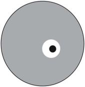   Figure 10.1 represents a Petri plate. The gray area is where bacteria A is growing, the black area is where bacteria B is growing. The white area is a zone where neither organism is growing. What is the best interpretation of what is observed on the plate? A)  Bacteria B is producing an antibiotic that inhibits the growth of bacteria A. B)  Bacteria A produces a compound that inhibits the growth of bacteria B. C)  Bacteria A grows faster than bacteria B. D)  Bacterial colony B has depleted the nutrients in the area around the colony. E)  No conclusion can be made from this information.