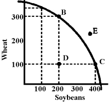 Figure 3-6    -In Figure 3-6 assume this economy is currently operating at point D.What is the opportunity cost of moving to B? A) about 200 bushels of wheat B) 200 bushels of soybeans C) Infinite, B cannot be produced at any cost. D) 0