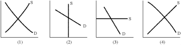 Figure 19-4   -The panels in Figure 19-4 represent the supply and demand conditions for a factor of production.In which case is the factor not earning any rent? A) 1 B) 2 C) 3 D) 4