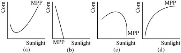 Figure 7-12   -Which of the graphs in Figure 7-12 shows a marginal physical product curve that exhibits first increasing, and then diminishing, marginal returns to sunlight? A) (a)  B) (b)  C) (c)  D) (d) 