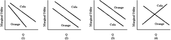 Figure 5-1   -Americans choose cola over other flavors 70 percent of the time.Analysts say this is because cola's flavor is more robust and durable.Orange soda, for example, suffers from flavor fatigue faster than cola.Also, because cola contains caffeine, people may be addicted to the stimulant.Which panel in Figure 5-1 best illustrates these facts? A) 1 B) 2 C) 3 D) 4