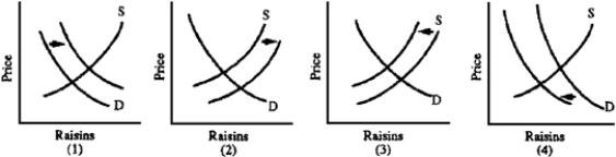 Figure 4-6   -How much the quantity of a good traded changes after a shift of the supply curve depends on A) the size of the shift. B) the slope of the demand curve. C) whether the market is subject to price controls. D) All of the above are correct.
