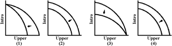 Figure 3-5   -At present, faculty in the Economics Department teach introductory and upper-level courses.Which graph in Figure 3-5 represents the change in the production possibilities of the Economics Department after a policy of using graduate students in addition to faculty to teach introductory sections was implemented? A) 1 B) 2 C) 3 D) 4