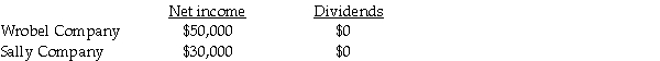 On January 1,2011,Wrobel Company acquired a 90 percent interest in Sally Company for $270,000.On January 1,2011,Sally's total stockholders' equity was $300,000.The fair value and book value of Sally's individual assets and liabilities were equal. On January 2,2011,Sally Company acquired a 10 percent interest in Wrobel Company for $70,000.On January 2,2011,Wrobel's total stockholders' equity was $700,000.The fair value and book value of Wrobel's individual assets and liabilities were equal. For the year ending December 31,2011,the following data is available:   The treasury stock method is used to account for the mutual stock holdings between Wrobel and Sally.The separate net incomes do not include investment income. A partial working paper is available for the year ending December 31,2011.   Required: Prepare the elimination entries for the year ending December 31,2011. Do not enter them onto the worksheet.Instead,list them below.<div style=padding-top: 35px> 