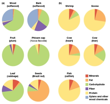 According to Figure 3.24,a major distinction between the food sources of herbivores and carnivores is that:   A)  Plants are primarily sources of carbohydrates, while animals are primarily sources of protein B)  Plants and animals are both primarily sources of fiber and fat C)  Almost all plant materials shown are high in protein, while all animal products shown are high in fat D)  There is no discernable difference between the two food sources