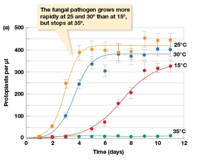 According to Figure 3.7a,the abundance of protoplasts:   A)  Does not differ between any temperature treatment B)  Decreases through time when temperatures are between 15-35 degrees Celsius C)  Increases more rapidly the first five days when temperatures are between 25-30 degrees Celsius, but not as rapidly when at 15 degrees Celsius D)  Increases over time with each temperature regime.