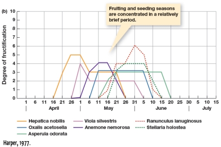 In Figure 4.11b,which of the following species of plant takes the longest period of time to reach their highest degree of fructification?   A) Viola silvestris B) Ranunculus lanuginosus C) Oxalis acetosella D) Asperula odorata