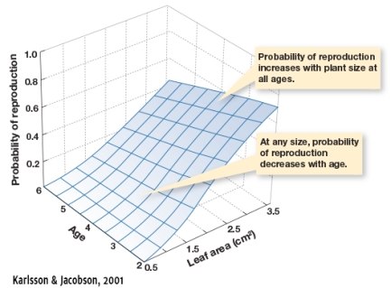 In Figure 5.9,how does probability of reproduction change as a function of leaf area?   A) Probability of reproduction increases B) Probability of reproduction decreases C) There is no change in the probability D) It cannot be ascertained without figuring in age