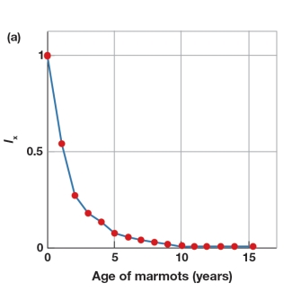 In Figure 5.11a,how many years pass for a cohort before greater than 50 percent of the cohort is lost?   A)  More than 5 years B)  More than 10 years C)  Less than 1 year D)  Less than 5 years