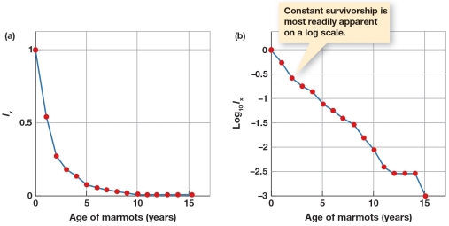 Based on Figure 5.11,at what age group do marmots appear to experience the lowest risk of mortality?   A)  Age 0 to 5 B)  Age 5 to 10 C)  Age 10 to 15 D)  Beyond 15 years of age
