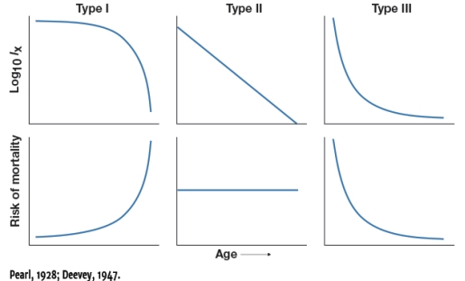 Based on the survivorship curves shown in Figure 5.13,which depicts circumstances where risk of mortality is greatest at older ages?   A) Type I B) Type II C) Type III D) Type I and II