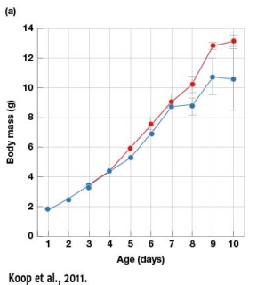 In Figure 7.2a,which of the following statements is an accurate assessment of what happened with nestlings by the time the experiment ended?   A)  Individuals in both treatments reached similar sizes and the number of fledglings was the same regardless of parasitism B)  Individuals from both treatments had about the same mass regardless of parasitism C)  Nestlings in unlined nests had more variation in their mass than did nestlings in lined nests D)  Body mass of nestlings between treatments was not significantly different.