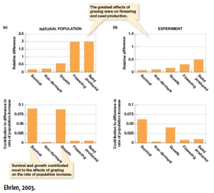 In Figure 7.1,the effects of mollusk grazing are shown for a number of plant traits in natural and experimental populations.As measured by relative difference,how much greater was seed production in the natural population compared to the experimental population?   A) It was not greater B) It was approximately equal C) It was 1.5 units greater D) It was greater than 0.475 units